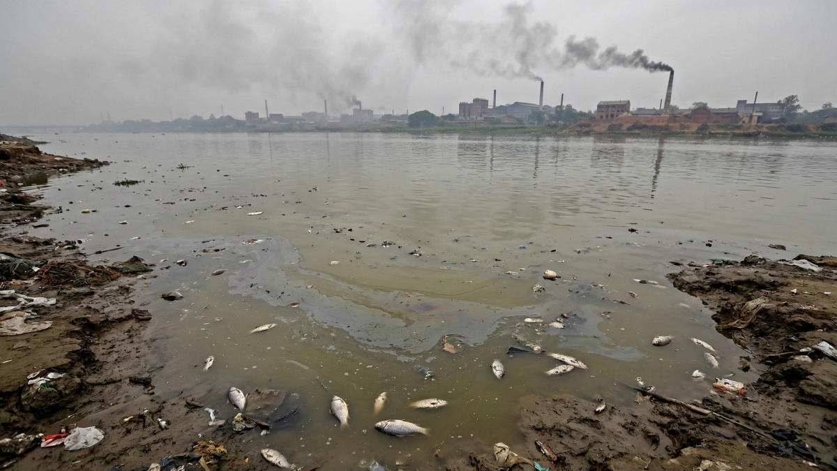 Токсичный след: в Бангладеш требуют спасти реку Пхулджор